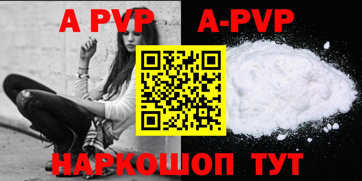 APVP СК Камышлов