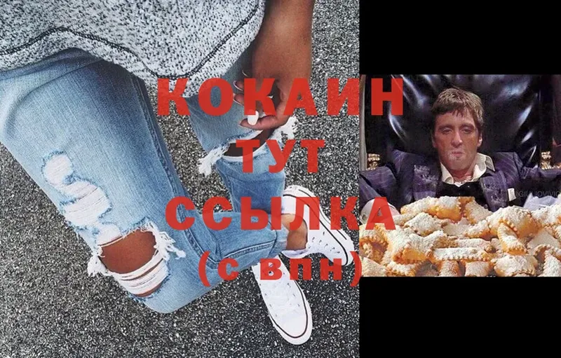 COCAIN FishScale  Камышлов 