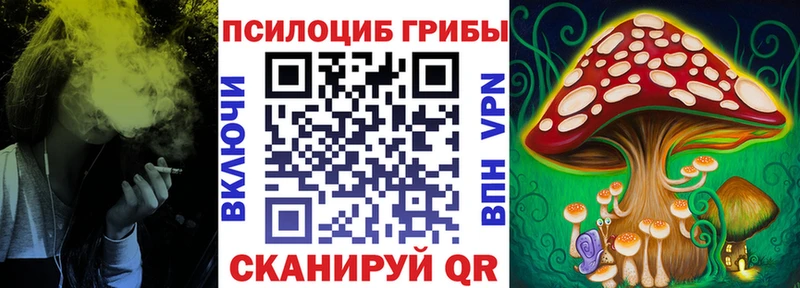 кракен зеркало  Камышлов  Псилоцибиновые грибы прущие грибы  где найти наркотики 