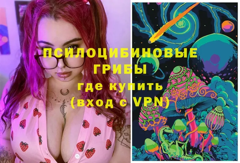 маркетплейс как зайти  Камышлов  OMG ТОР  Галлюциногенные грибы Magic Shrooms  дарнет шоп 