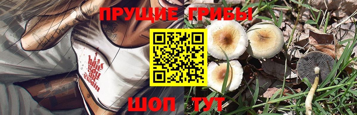 Псилоцибиновые грибы мицелий  Вход с VPN  Камышлов 