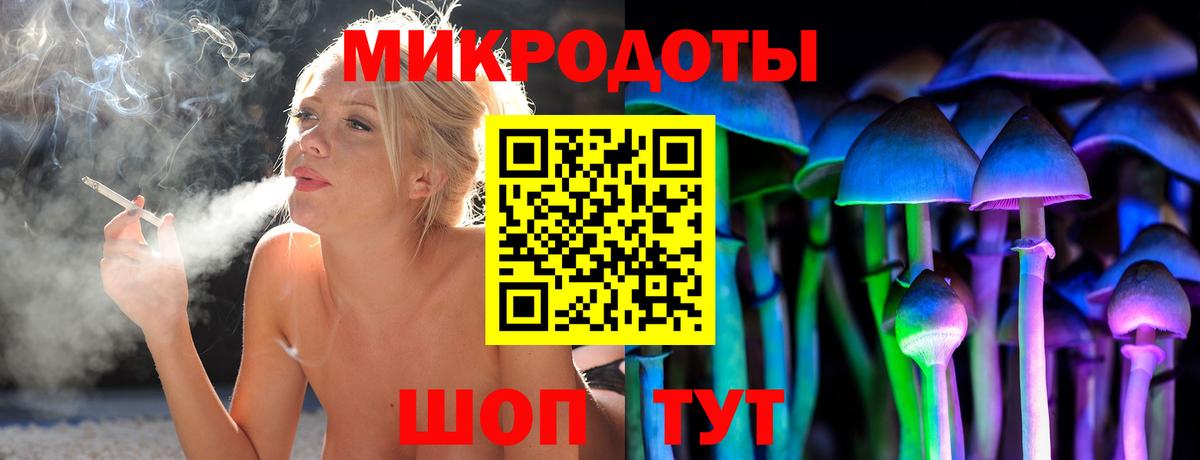 Галлюциногенные грибы Psilocybine cubensis Камышлов